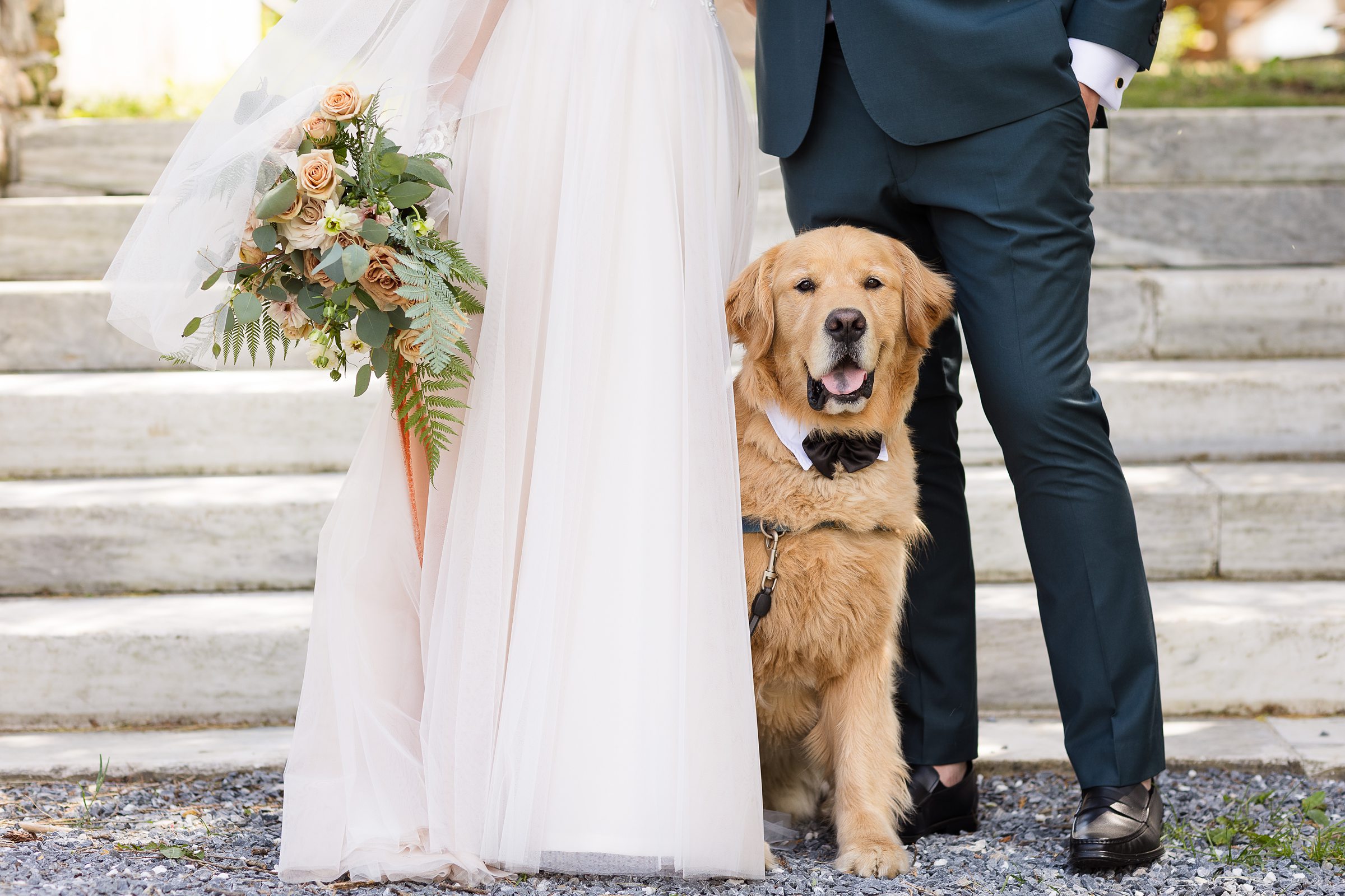 bride and groom with their dog portraits at Wilburton Inn