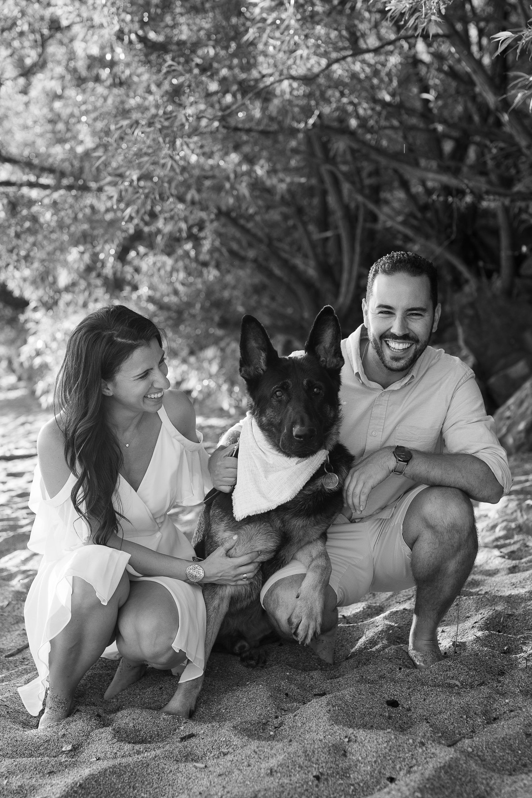 Vermont couple engagement photos with their german shepherd dog 